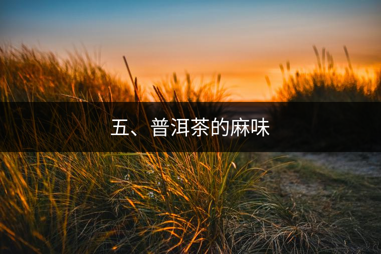 五、普洱茶的麻味