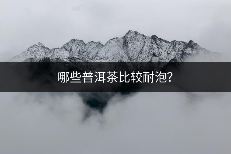 哪些普洱茶比較耐泡？