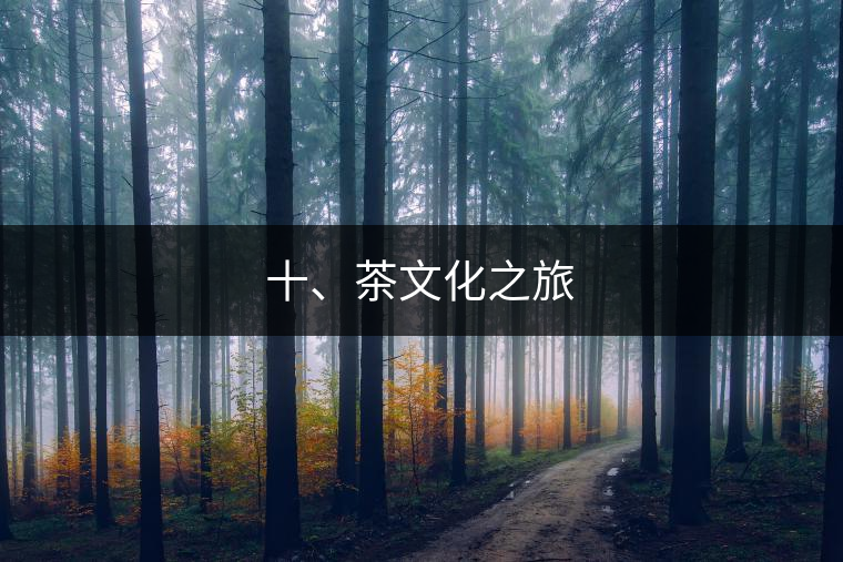 十、茶文化之旅