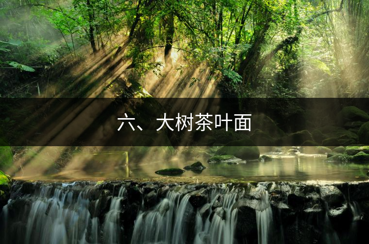 六、大樹(shù)茶葉面