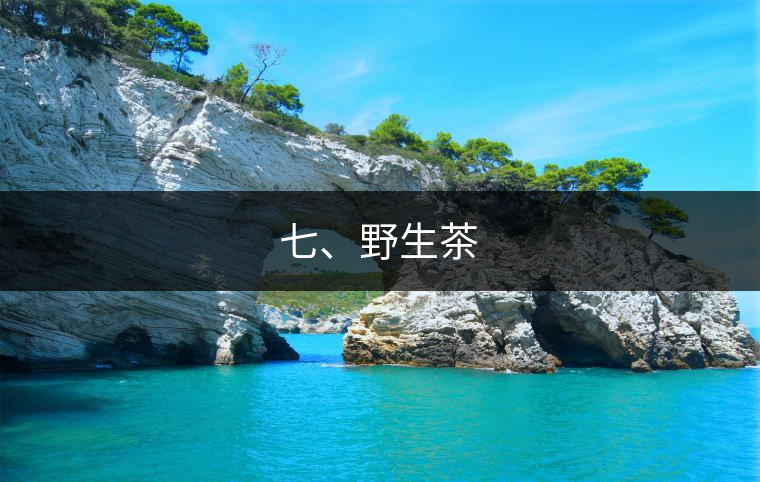 七、野生茶