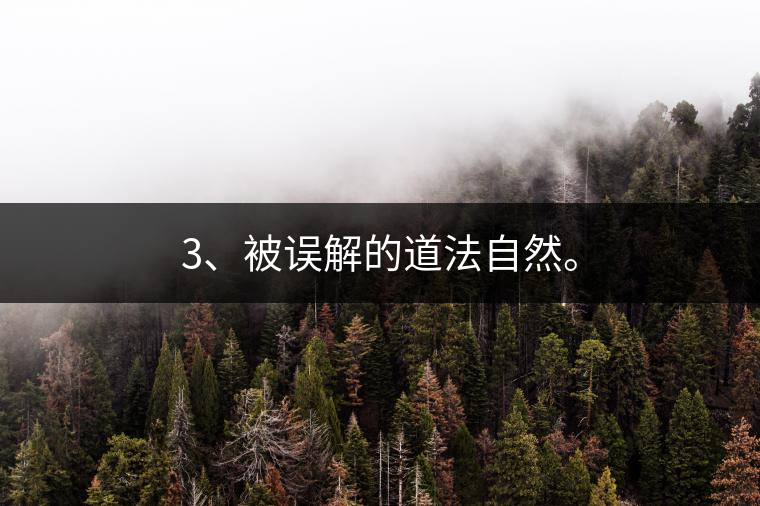 3、被誤解的道法自然。