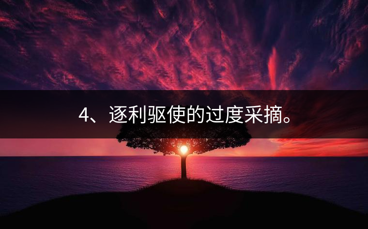 4、逐利驅使的過度采摘。