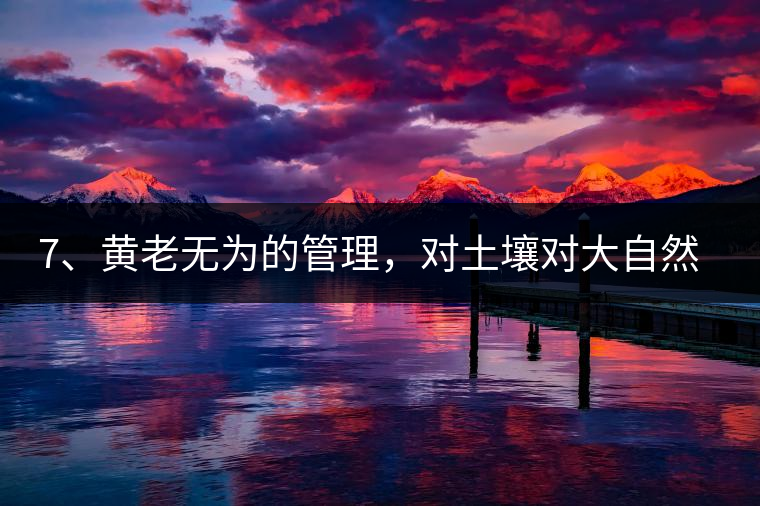 7、黃老無為的管理，對土壤對大自然的過渡依賴，對茶樹根疏忽。