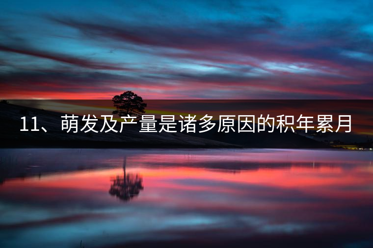 11、萌發(fā)及產量是諸多原因的積年累月的疊加。