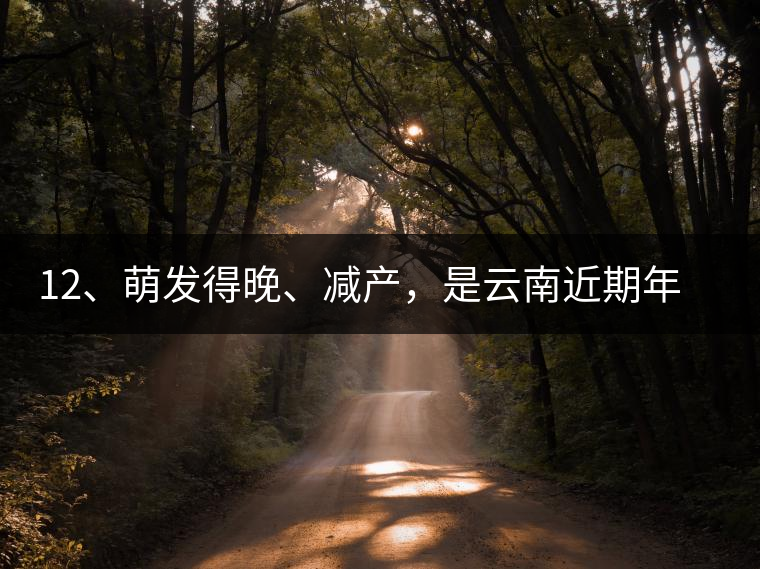 12、萌發(fā)得晚、減產，是云南近期年氣候變化在茶樹上的延遲反映。