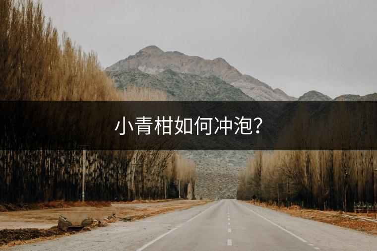 小青柑如何沖泡？
