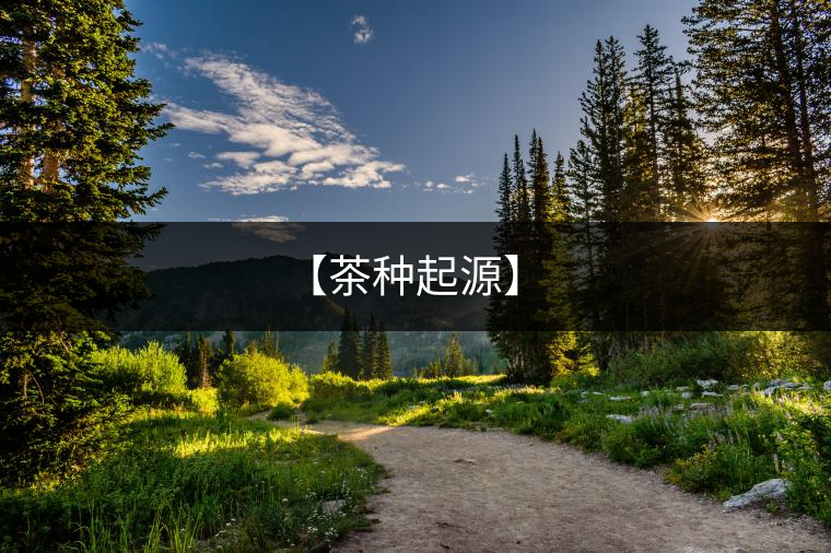 【茶種起源】