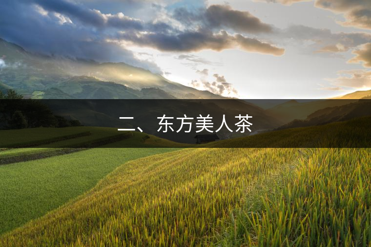 二、東方美人茶