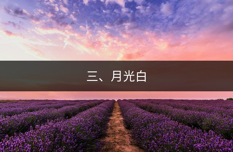 三、月光白