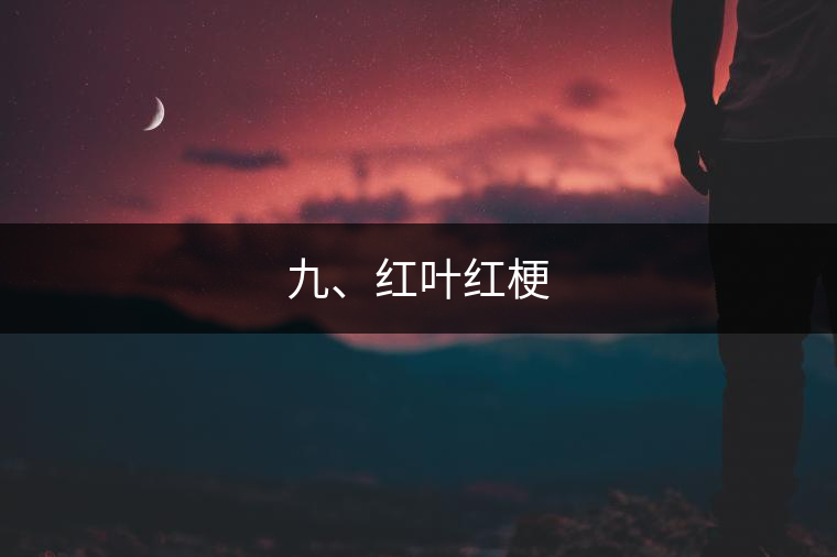 九、紅葉紅梗