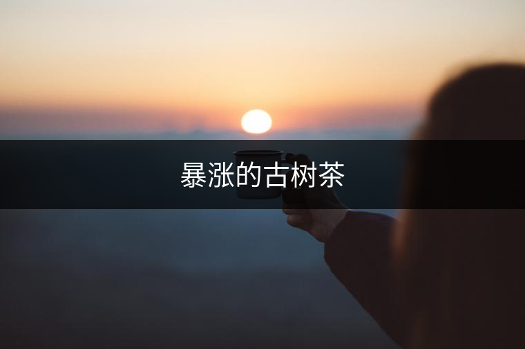 暴漲的古樹(shù)茶