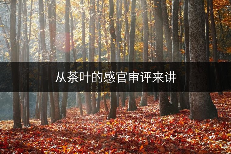 從茶葉的感官審評(píng)來(lái)講