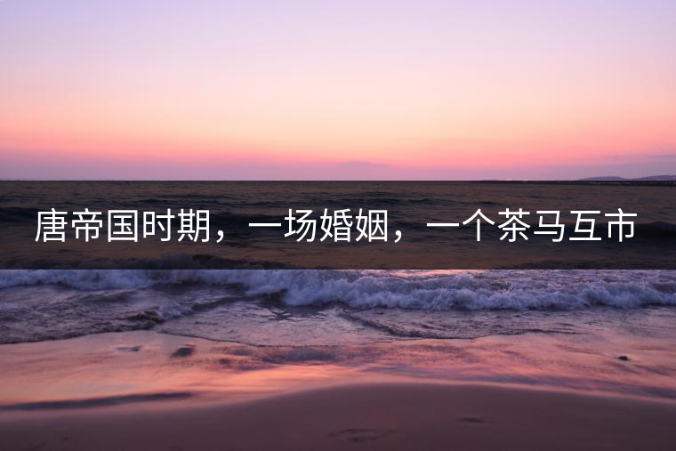唐帝國時期，一場婚姻，一個茶馬互市，讓這里結(jié)束了漢藏對峙。宋代南茶北，西北茶馬司設(shè)立，因茶而改變的生活日益凸顯。元代八思巴與忽必烈在這一區(qū)域結(jié)盟，為蒙藏兩大民族交往鋪好通衢大道，明代俺答汗與達(dá)賴在山海之間追思各自先人，青海人宗喀巴創(chuàng)建的黃教通過蒙、藏兩大領(lǐng)袖的推廣，締造了影響至今的格局。大清經(jīng)過康、雍、乾三代勵精圖治，滿、藏、蒙各自龐大的疆域第一次完整地統(tǒng)轄在中央帝國的版圖下。