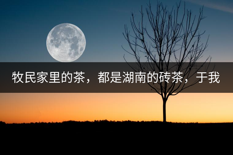 牧民家里的茶，都是湖南的磚茶，于我們而言不見得有多好，它們粗糙得看可見茶梗和樹枝，但于他們來說，卻是每日的生活必需品。端到桌上的茶碗，也是缺了口鋦過青花瓷碗，聞得見修補(bǔ)后的手溫，喝下加過鹽巴的磚茶，一身暖意，融化了深藏在發(fā)底的冰屑，溫暖著身心。