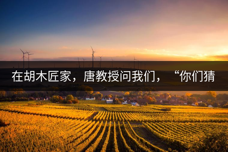 在胡木匠家，唐教授問我們，“你們猜猜他們家的茶放在哪里？”我們回答廚房、客廳都不對，“難道像寺院一樣，有專門的茶房不成？”教授和木匠都哈哈大笑，連連搖頭。在木匠的帶領(lǐng)下，我們來到主人的臥室，茶磚整齊有序地堆放在床頭柜里。一家之主的臥室，既是休息之所，亦是一家財富與傳家寶的收藏地。茶之精貴，毋需多言。