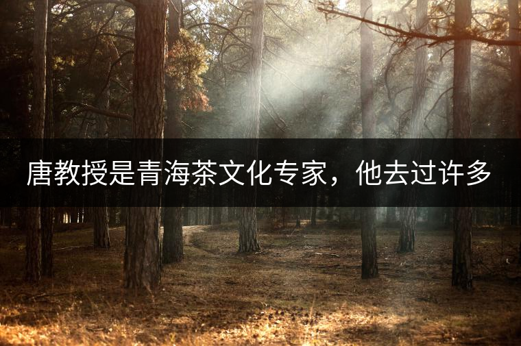 唐教授是青海茶文化專家，他去過許多游牧家做調(diào)查，總結(jié)下來就是，磚茶現(xiàn)在雖然易得，但其作為“禮”象征性一直在延續(xù)，一個家庭，擁有茶磚數(shù)量的多少，既是家庭財富多寡的考量，亦是家庭地位的考量。茶越多，說明其家庭越富裕，地位也顯赫。茶在儲藏的同時，也在流通，你送多少與被送多少，都取決于你是何等人家。