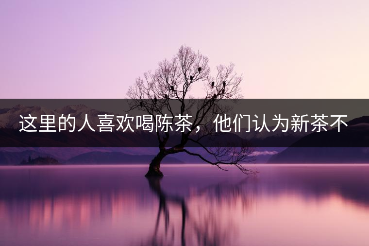 這里的人喜歡喝陳茶，他們認(rèn)為新茶不好喝。考究這一消費(fèi)習(xí)慣，可以追溯到西北地區(qū)茶葉運(yùn)輸和儲藏方式，南茶北上后，為了方便運(yùn)輸，都被加工成“磚”樣，到了西北后，大批量的茶進(jìn)入政府的茶馬司倉庫和寺院的大茶房。明、清茶馬司約五年清理、拋售一次陳茶，價格便宜，許多百姓大量購茶都是這個時期，寺院的熬茶布施時間也被限定在特別的日子，故老百姓消費(fèi)陳茶是被迫形成的習(xí)慣。今天普通百姓長期飲用的茶，都來自湖南益陽。茯磚茶在青海流行，大約歸結(jié)于晚清湖南人左宗棠在西北推廣的“茶柜”制度。