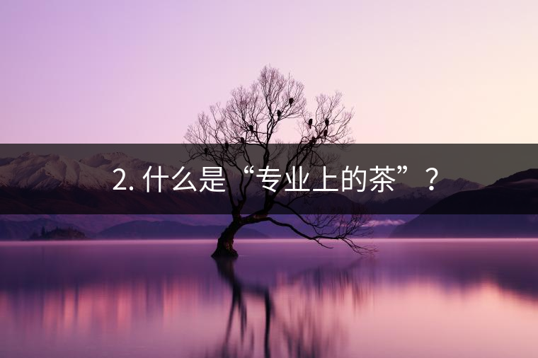 ? 2. 什么是“專業(yè)上的茶”？