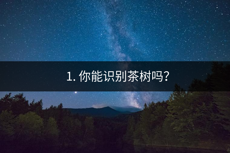 ??1. 你能識別茶樹嗎？