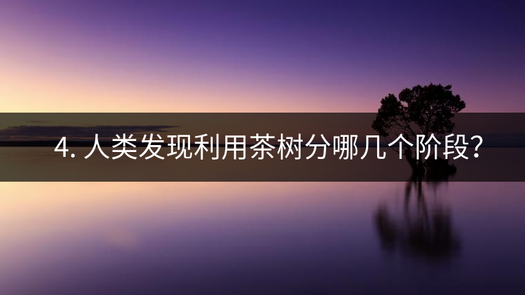 ? 4. 人類發(fā)現(xiàn)利用茶樹分哪幾個階段？