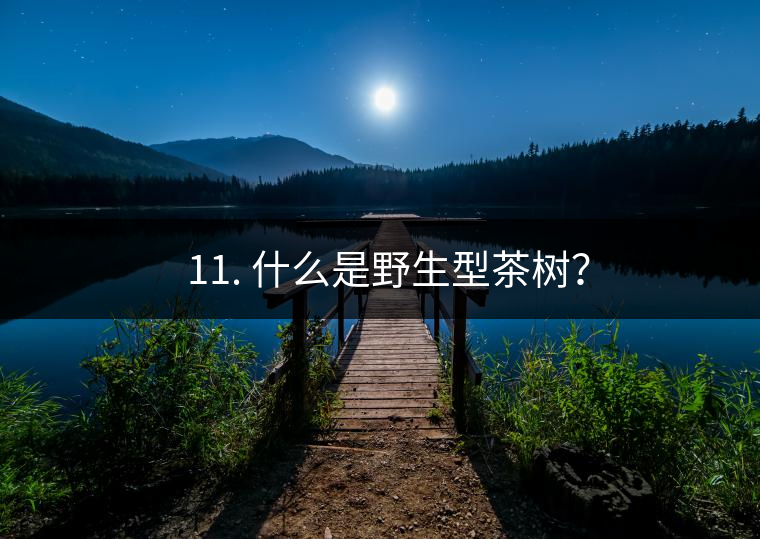 ? 11. 什么是野生型茶樹？