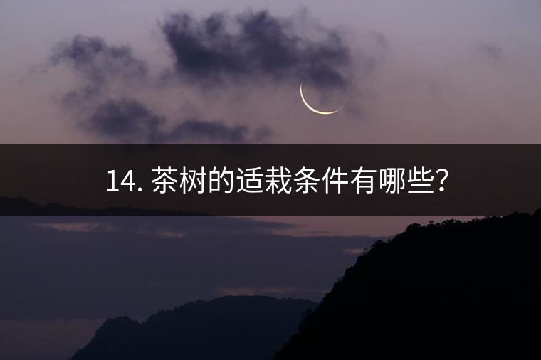 ? 14. 茶樹的適栽條件有哪些？