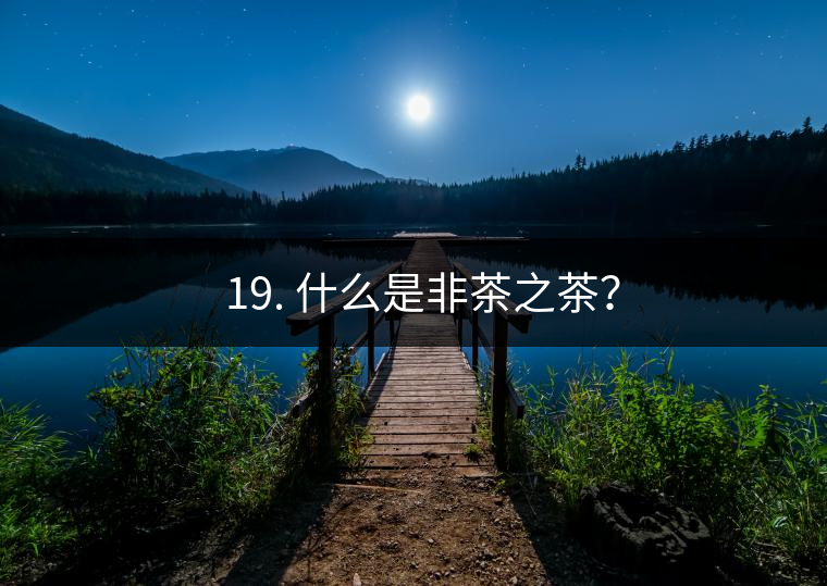 ? 19. 什么是非茶之茶？