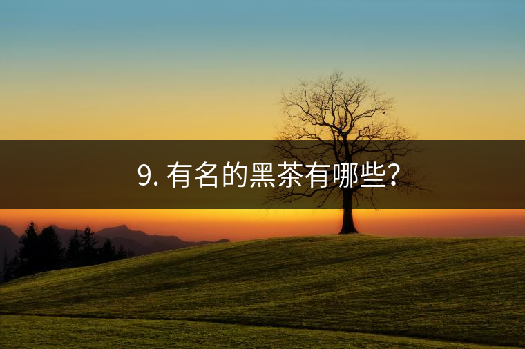? 9. 有名的黑茶有哪些？