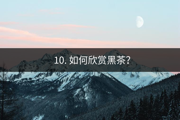 ? 10. 如何欣賞黑茶？
