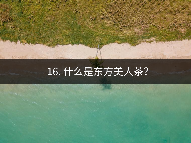 ? 16. 什么是東方美人茶？