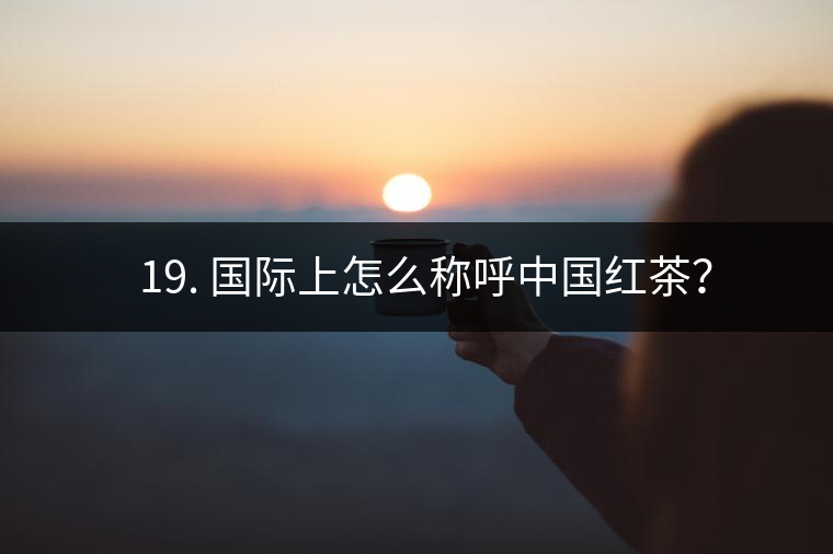 ? 19. 國際上怎么稱呼中國紅茶？