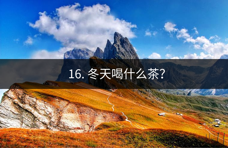 ? 16. 冬天喝什么茶？