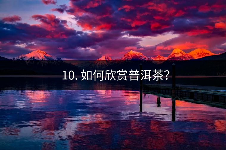 ? 10. 如何欣賞普洱茶？