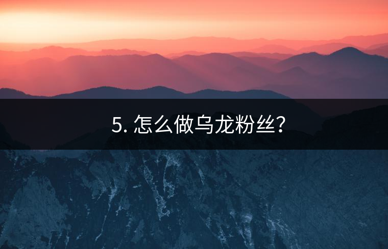 ? 5. 怎么做烏龍粉絲？