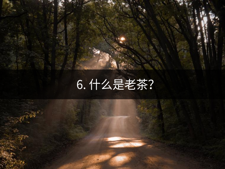 ? 6. 什么是老茶？