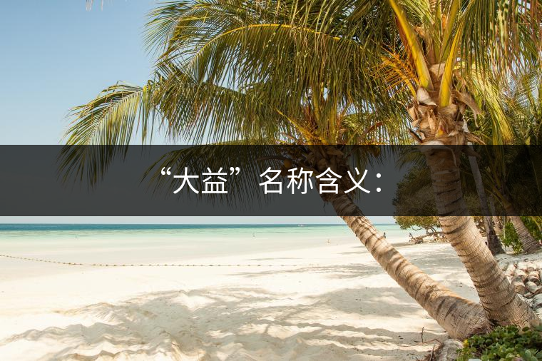 “大益”名稱含義: “大益”名稱含義: