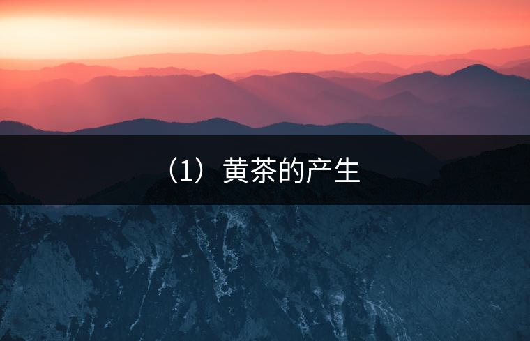 (1)黃茶的產(chǎn)生 (1)黃茶的產(chǎn)生