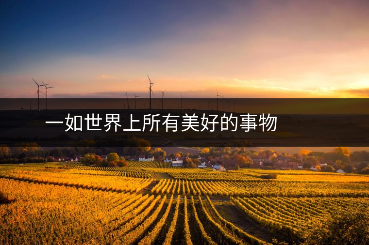 ? ? ? 一如世界上所有美好的事物，百花潭美麗但卻稀少。稀疏而分散生長(zhǎng)的古樹(shù)林，采摘難度極大。近幾年，百花潭大小樹(shù)春茶季鮮葉產(chǎn)量約4-5噸，毛茶量1噸以上，而頭春的古樹(shù)茶僅有800公斤左右。
