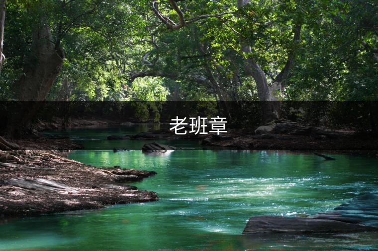 ??? 老班章