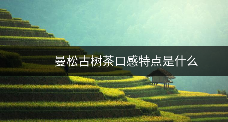 　　曼松古樹茶口感特點(diǎn)是什么