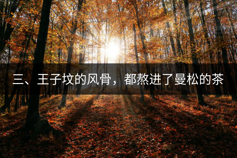 三、王子墳的風(fēng)骨，都熬進(jìn)了曼松的茶湯里