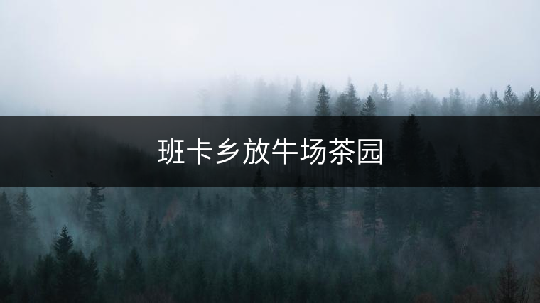 班卡鄉(xiāng)放牛場(chǎng)茶園