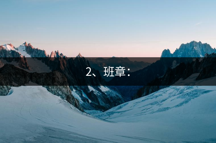 2、班章：