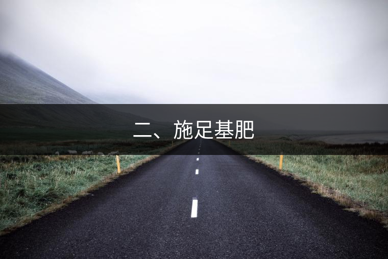 二、施足基肥