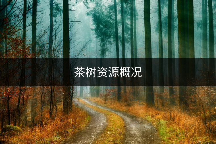 茶樹(shù)資源概況