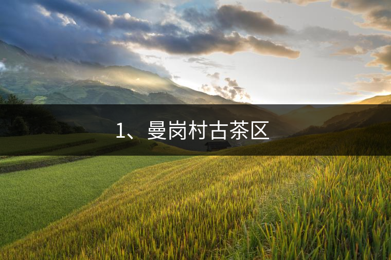 1、曼崗村古茶區(qū) ?