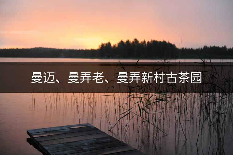 曼邁、曼弄老、曼弄新村古茶園