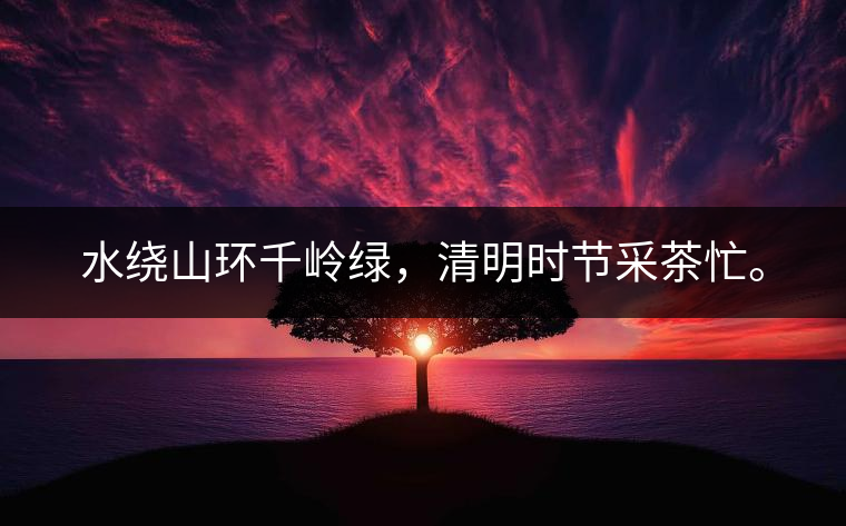 水繞山環(huán)千嶺綠，清明時(shí)節(jié)采茶忙。