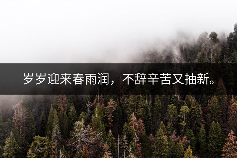 歲歲迎來春雨潤，不辭辛苦又抽新。